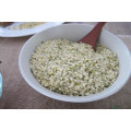 Organic Certificated Hemp Seed with great quality and Best-Price